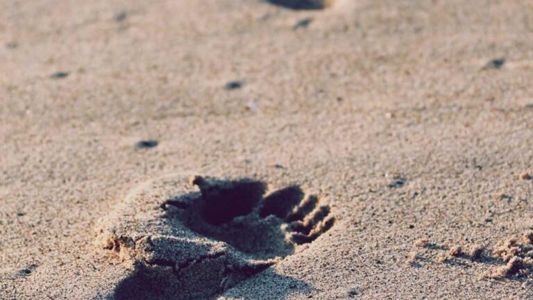 What Is Self-Deposit On Cricbet99 And How To Use It?